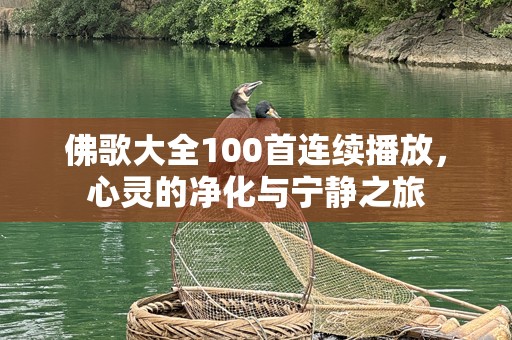 佛歌大全100首连续播放，心灵的净化与宁静之旅