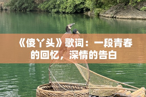 《傻丫头》歌词：一段青春的回忆，深情的告白