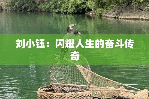 刘小钰：闪耀人生的奋斗传奇