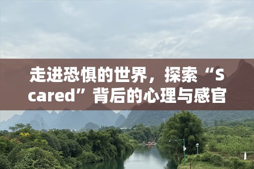 走进恐惧的世界，探索“Scared”背后的心理与感官