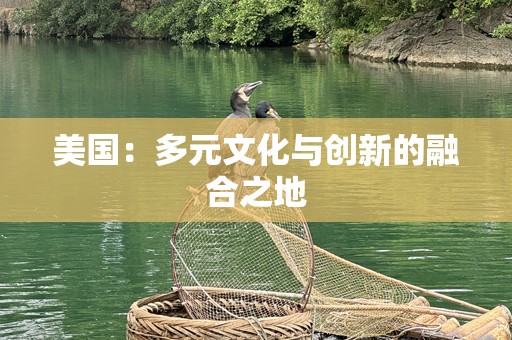 美国：多元文化与创新的融合之地