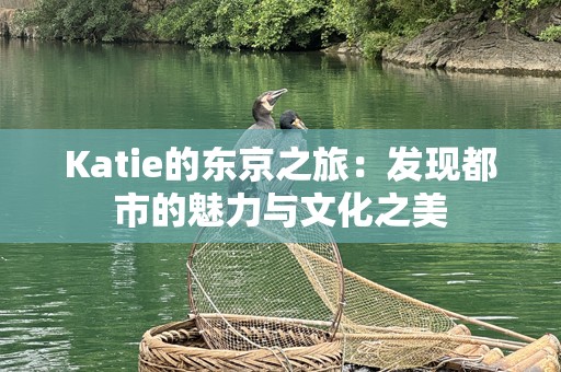 Katie的东京之旅：发现都市的魅力与文化之美