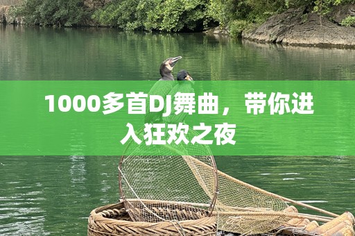 1000多首DJ舞曲，带你进入狂欢之夜