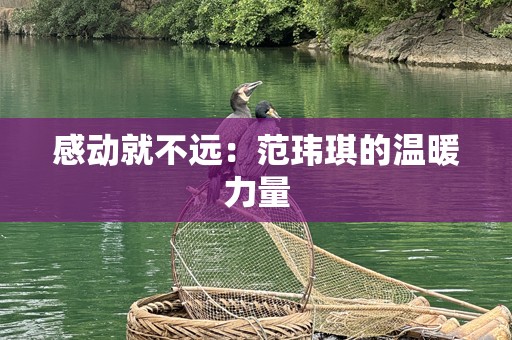 感动就不远：范玮琪的温暖力量