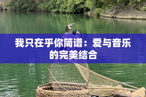我只在乎你简谱：爱与音乐的完美结合