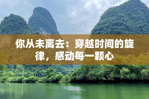 你从未离去：穿越时间的旋律，感动每一颗心