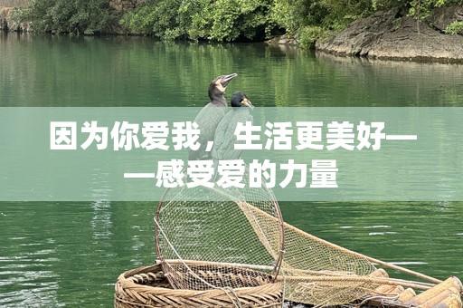 因为你爱我，生活更美好——感受爱的力量