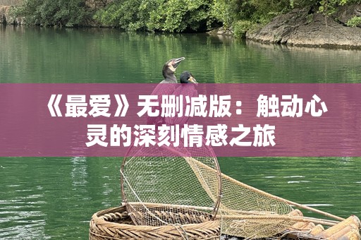 《最爱》无删减版：触动心灵的深刻情感之旅