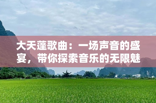 大天蓬歌曲：一场声音的盛宴，带你探索音乐的无限魅力