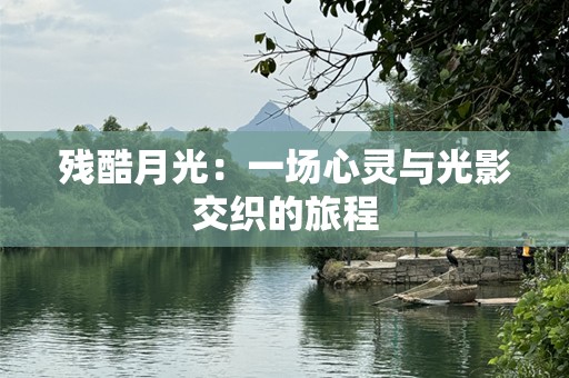 残酷月光：一场心灵与光影交织的旅程