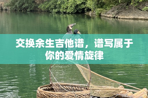 交换余生吉他谱，谱写属于你的爱情旋律