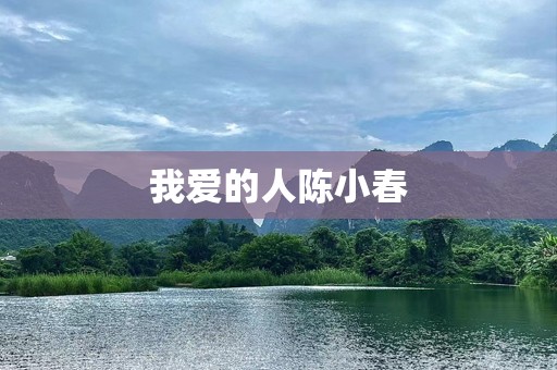 我爱的人陈小春