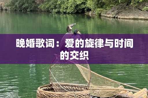 晚婚歌词：爱的旋律与时间的交织