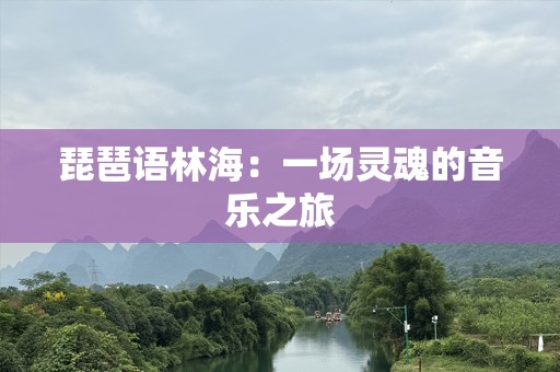 琵琶语林海：一场灵魂的音乐之旅