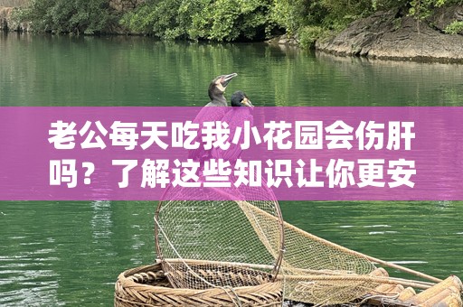 老公每天吃我小花园会伤肝吗？了解这些知识让你更安心