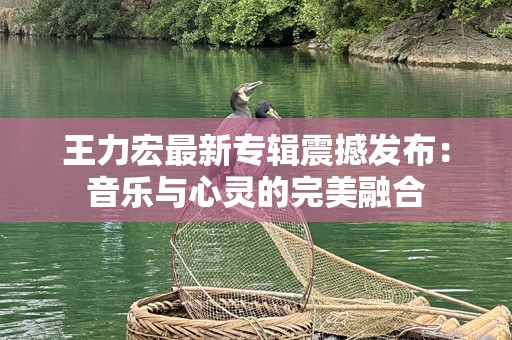王力宏最新专辑震撼发布：音乐与心灵的完美融合
