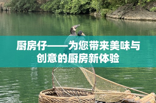 厨房仔——为您带来美味与创意的厨房新体验