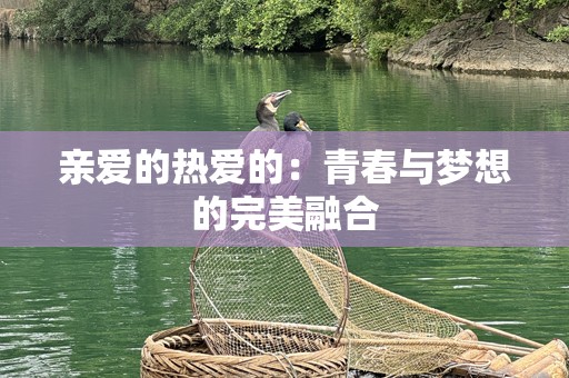 亲爱的热爱的：青春与梦想的完美融合