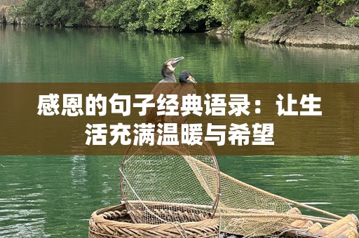 感恩的句子经典语录：让生活充满温暖与希望