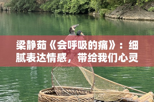 梁静茹《会呼吸的痛》：细腻表达情感，带给我们心灵的震撼与共鸣