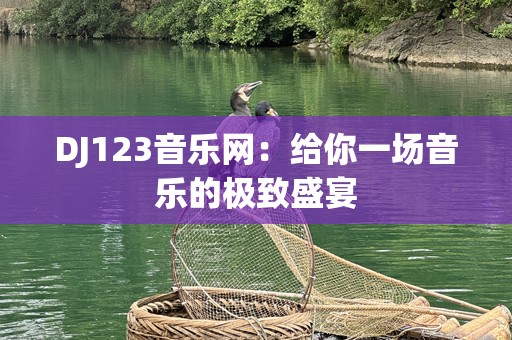 DJ123音乐网：给你一场音乐的极致盛宴