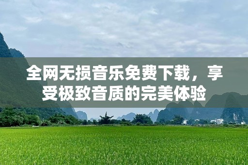全网无损音乐免费下载，享受极致音质的完美体验