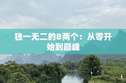 独一无二的B两个：从零开始到巅峰