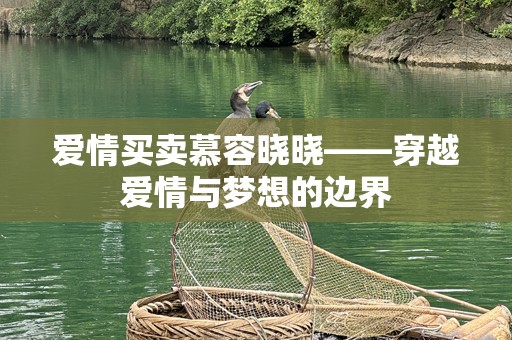 爱情买卖慕容晓晓——穿越爱情与梦想的边界