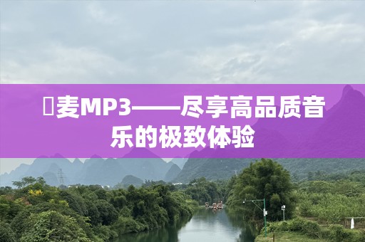 騒麦MP3——尽享高品质音乐的极致体验