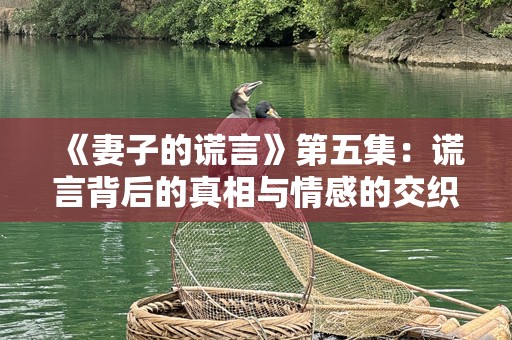 《妻子的谎言》第五集：谎言背后的真相与情感的交织