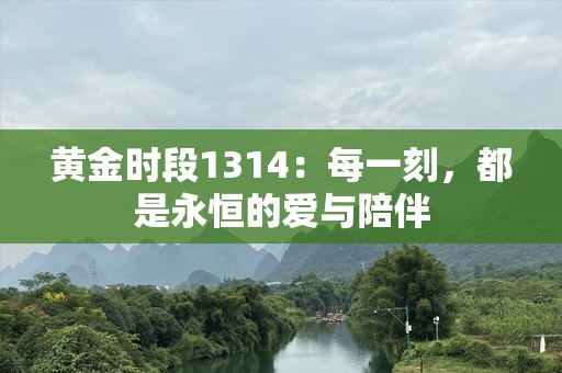 黄金时段1314：每一刻，都是永恒的爱与陪伴