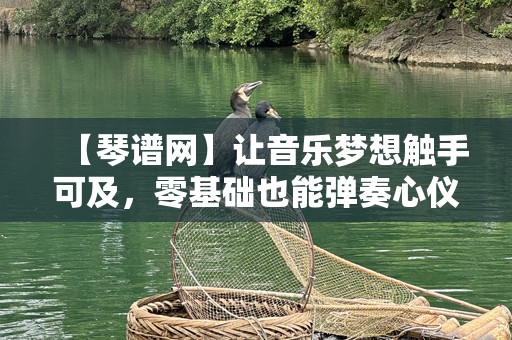 【琴谱网】让音乐梦想触手可及，零基础也能弹奏心仪曲目