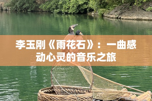 李玉刚《雨花石》：一曲感动心灵的音乐之旅