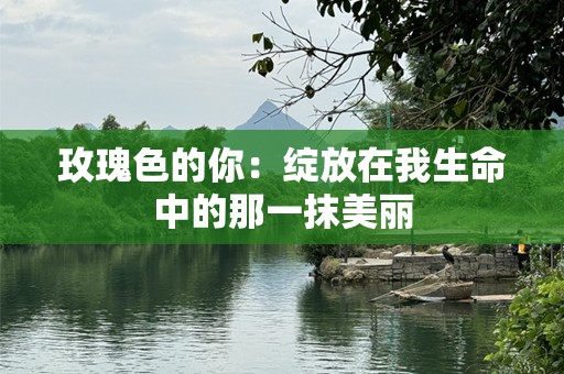玫瑰色的你：绽放在我生命中的那一抹美丽