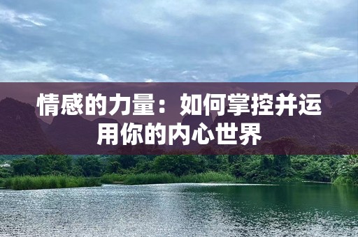 情感的力量：如何掌控并运用你的内心世界