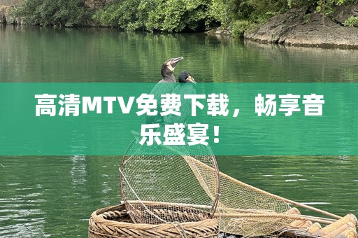 高清MTV免费下载，畅享音乐盛宴！
