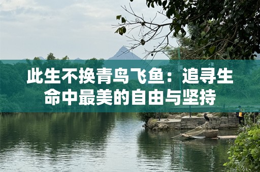 此生不换青鸟飞鱼：追寻生命中最美的自由与坚持