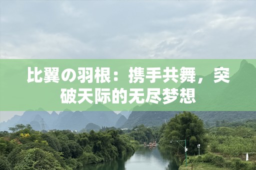 比翼の羽根：携手共舞，突破天际的无尽梦想