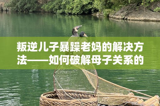 叛逆儿子暴躁老妈的解决方法——如何破解母子关系的难题