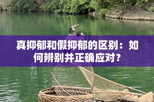 真抑郁和假抑郁的区别：如何辨别并正确应对？