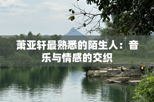 萧亚轩最熟悉的陌生人：音乐与情感的交织
