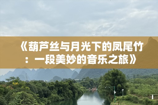 《葫芦丝与月光下的凤尾竹：一段美妙的音乐之旅》