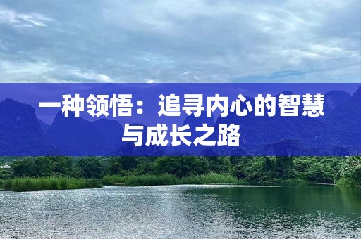 一种领悟：追寻内心的智慧与成长之路