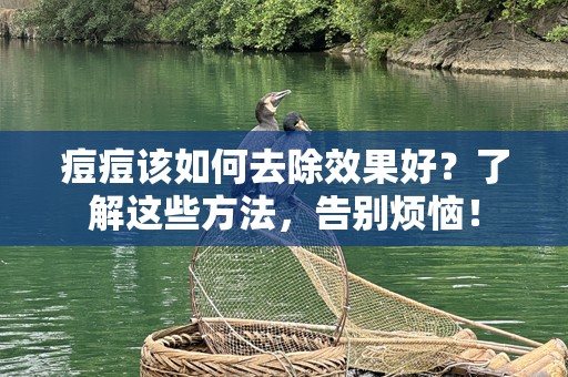 痘痘该如何去除效果好？了解这些方法，告别烦恼！
