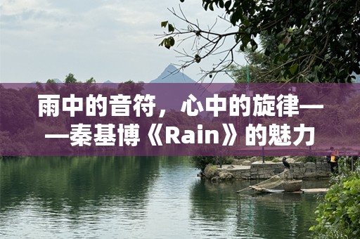 雨中的音符，心中的旋律——秦基博《Rain》的魅力
