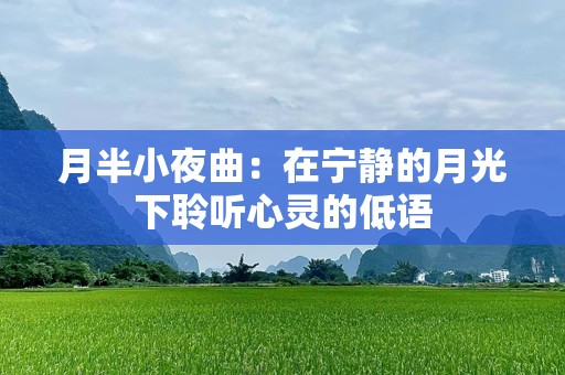 月半小夜曲：在宁静的月光下聆听心灵的低语