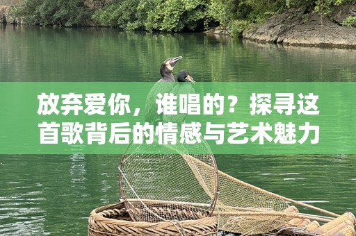 放弃爱你，谁唱的？探寻这首歌背后的情感与艺术魅力