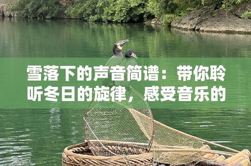 雪落下的声音简谱：带你聆听冬日的旋律，感受音乐的温暖与宁静