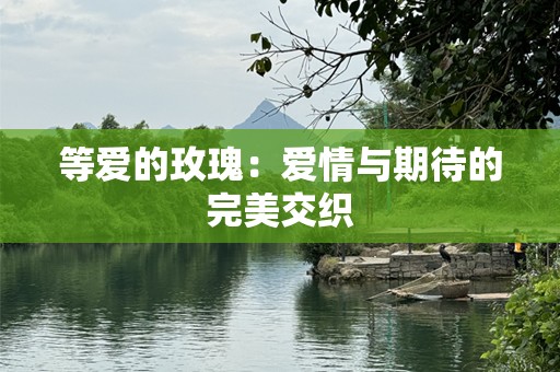 等爱的玫瑰：爱情与期待的完美交织