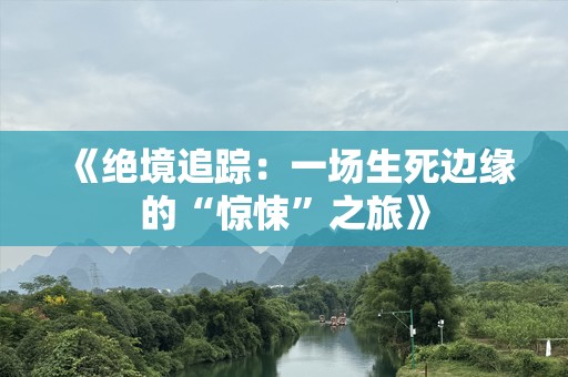 《绝境追踪：一场生死边缘的“惊悚”之旅》